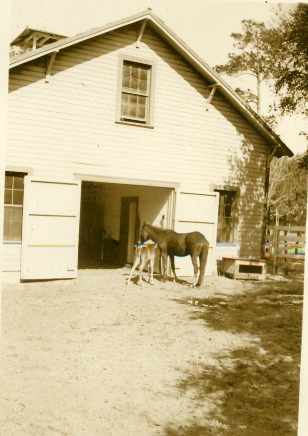 2-9 Stable at LSSI.jpg